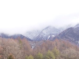 x@2733m.....2009.2.4